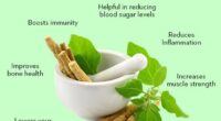 ashwagandha benefits