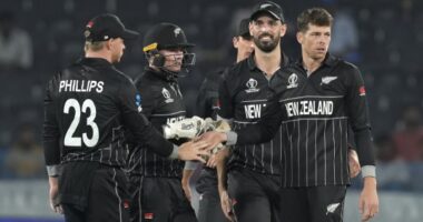 new zealand national cricket team vs netherlands national cricket team matches