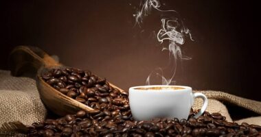 wellhealthorganic.com morning coffee tips with no side effect